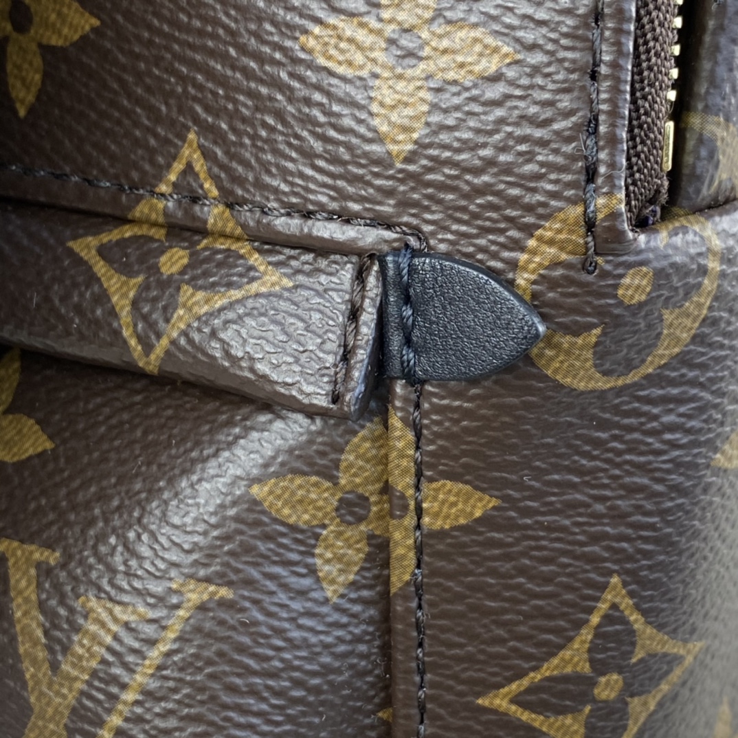 Louis Vuitton PALM SPRINGS PM Backpack Monogram M44871